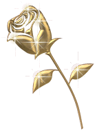 rose en or